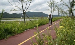 [자전거 국토 대장정] <8> 낙동강 자전거길 8코스 예천 풍양~안동 풍산