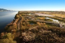 가을 부산… 축제의 도시