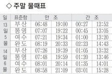 [낚시주황] 나무섬 40~60㎝ 부시리 서너 마리 청도천 중류 25~35㎝ 붕어 5마리