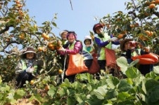 [포토뉴스] 농촌체험활동