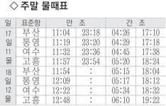 [낚시 주황] 가덕도 감성돔 낱마리 빈작 진영 주천강 붕어 3~4마리