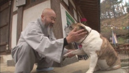 [볼만한 TV 프로그램] TV동물농장(SBS 25일 오전 9시 25분) 外