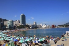 내년 개장 100주년 송도해수욕장 한국관광기네스 등극