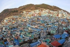 도시 재생 사업 최고 모범 사례 감천문화마을 관광객 10만 시대