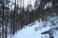[산&산]  전남 구례 견두산