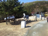 천마산 조각공원 도둑맞은 청동상 자리 3년간 방치