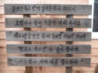 [국내외 사투리 보존 사례] 제주 조례 이어 진주도 추진… 관광객 흥미 유발