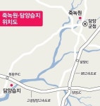 [일상탈출] 전남 담양 죽녹원