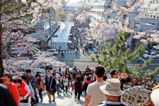 제황산공원 진해탑·365 계단 요즘 최고 인기죠