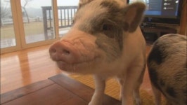 [볼만한 TV프로그램] 다큐 3일 (KBS 2TV 14일 오후 10시 55분) 外