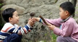 [함께 살다-대안적 삶을 꿈꾸다] ⑧ 숲으로 간 아이들