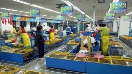 [김승일 기자의 쫄깃한 회 스토리] ⑥ 초장집