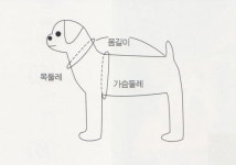 귀여운 우리 집 강아지, 직접 만든 옷으로 더 귀엽게