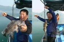 천사의 선물 신안 흑산도 우럭 선상낚시 한번 와 보쇼이~, 우럭이 제철이지라~