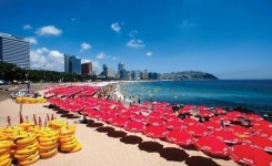 [올 부산 해수욕장 이벤트] 더 재밌게, 더 알차게… 바다가 부른다