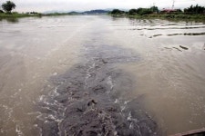 오니 3m 쌓인 서낙동강, 준설 급하다