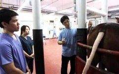 부경경마공원, 수의과 대학생 대상 임상실습기회 제공