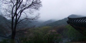 [부블부블-부산블로그] 운수골 따라 운수사 가는 길