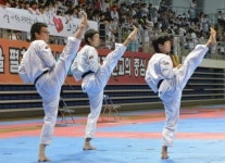 [포토뉴스] 전국태권도품새대회