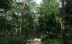 [산&산] <415> 울주 대운산