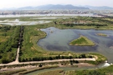 [부산의 미래 新낙동강 시대]12. 하구 생태보전 어떻게