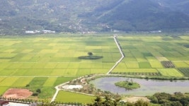 [가을로 반걸음] 누르스레… 악양들판 익어간다