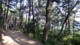 [부산국제영화제] 어디 가볼까 - 해운대 주변
