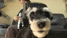 [볼만한 TV프로그램] TV쇼 진품명품 (KBS 1TV 20일 오전 11시) 外