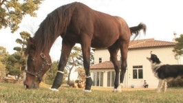 [볼만한 TV프로그램] 런닝맨 (SBS 27일 오후 6시 10분) 外