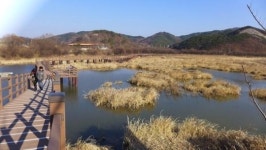 [일상탈출] 합천 고분기행