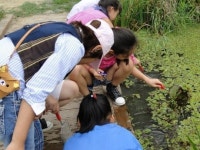 사천시 다슬기 초량마을 색깔 있는 마을 부문 국무총리상