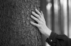 [한 장면] 고난 속에서 피는 아름다운 울림