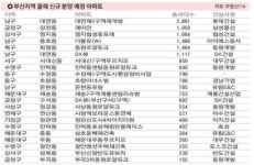 [올해 부산지역 아파트 분양 전망] 신규 물량 2만 가구 봇물… 과잉 공급 불안감