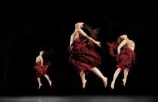 [2014 문화 키워드] ⑥ 춤