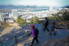 [Where] 세상에서 가장 아름다운 산행길 구포 범방산 무장애 숲길