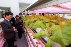 [포토뉴스] 주민센터 옥상 하늘 농원 개소식