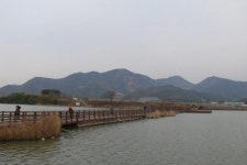 [알상탈출] 사천, 이색 봄  풍경