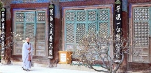 [Where] 기장 장안사, 그곳에 뭐가 있기에