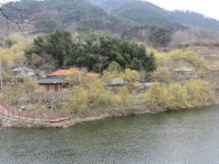 [일상탈출] 전남 구례 산동면 산수유마을