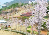 느긋한 봄꽃놀이 원한다면? 고성공룡박물관으로…