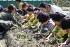 [포토뉴스] 고사리손들의 봄 가꾸기