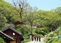 [힐링 여행] 청양 칠갑산 산꽃마을·장승공원
