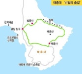 [치유의 힘, 신록] 잿빛 도심 속 힐링여행… 자연이 느릿느릿 내 품으로