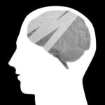 [밀물 썰물] 망각과 기억 사이