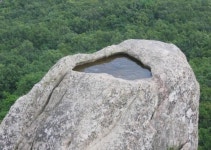 금빛 물고기 놀던 금샘 문학을 품다