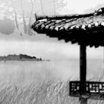 [토요에세이] 가을 우포를 그리며