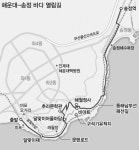[부산 컬처로드 연다] 1부 자연·생태와 함께하는 길 (5) 해운대~송정 바다 열림길