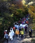 전국에서 온 트래커 회남재에서 가을을 걷다