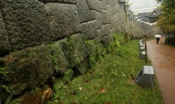 [부산 컬처로드 연다] 2부 역사와 함께하는 길 (1) 부산 뿌리길