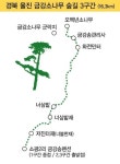 [일상탈출] 울진 금강소나무 숲길 3구간